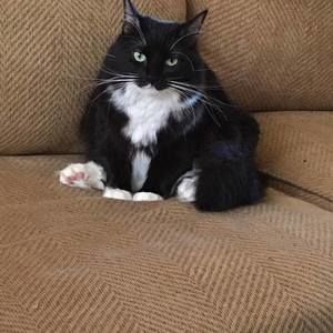 Meet your Posher, Toni